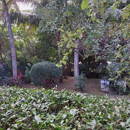 Maison A L'Ermitage ラ・サリーヌ・レ・バン エクステリア 写真